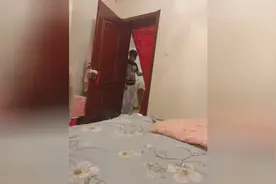 生完宝宝后 狗狗的反应是这样的视频封面