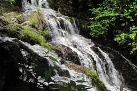 落到树上的雪，像开满了满树的梨花了