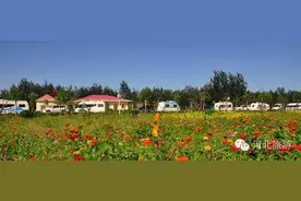 春暖花开，一起露营吧！河北房车露营地大全 旅行必备图片