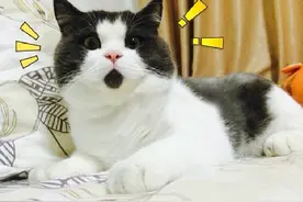 注意 | 车险费改后 小刮小蹭千万不要急着报保险！不然图片