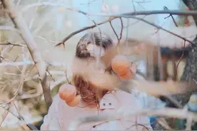 短篇阅读丨四月裂帛图片
