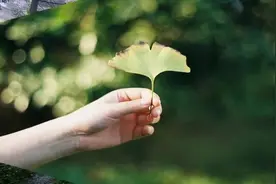 你有多久，没有被认真的拥抱过了