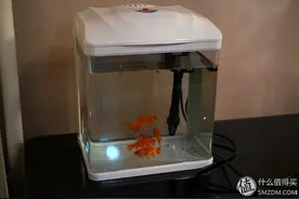 先有鱼后有缸：晒森森小水族箱 HR230 及插头改造图片