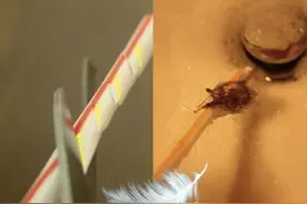 太神啦！一根吸管就能解决水管阻塞，超简单！图片