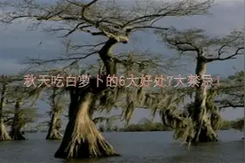 在秋天的时候吃白萝卜，有这六种好处，同时也有这七种禁忌，看看