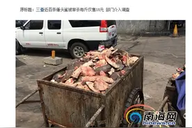 三亚600公斤珍稀锤头鲨遭宰杀贱卖图片