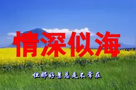 《情深似海》唱哭了多少为爱付出的痴情人！视频封面