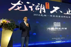 龙湖长沙再造巅峰 璟宸原著品牌发布会盛大开启图片