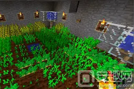 我的世界红石自动农场制作图文教程 增强种植效率图片