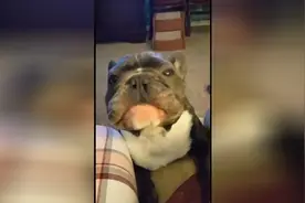 还是听不懂 你到底想说啥