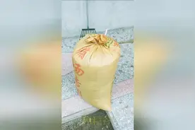 广西农村晒稻谷有他省了不少力气