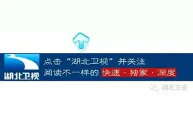 测验|当老爸躲进人形玩偶里面，你还认得出他来吗？图片