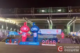 熊猫55吋IGZO电视获CITE2016大奖图片