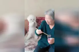 别说亲你了，为了吃，你让我干啥都行！求求你，就给我吃一口嘛！