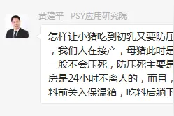 干货仔猪活力较弱？如何提高仔猪活力？这里都有答案图片