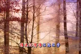 东浩的一首《老婆都是别人的好》好听至极，唱出所有男人的心声！视频封面