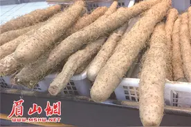 某超市售卖的山药。图片