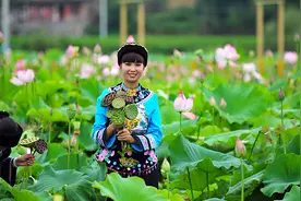 河北秦皇岛：踏青游览 “花海”寻芳图片