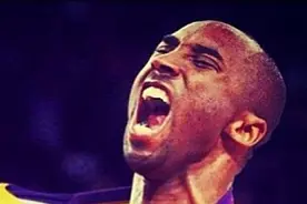 科比，最后的战役图片