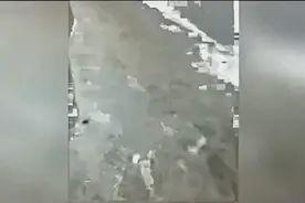 “企鹅大逃亡”脚印露馅了