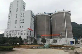3万吨粮食入仓 温州新型浅圆仓正式投用图片
