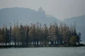 跟着“长江旅行体验团”周六一起去东湖落雁景区,观赏西伯利亚候鸟图片