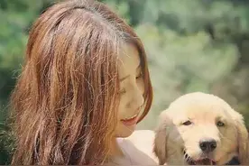 最近，三只流浪狗到一个小摊蹭吃蹭喝，结果小摊生意火了…….图片