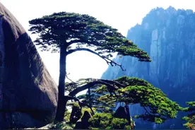 黄山：在静谧中感受她的力量图片