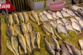 如何半分钟剖鱼？舟山“老师傅”来教你图片