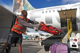 易碎标签不保险 机场行李员告诉你鲜为人知的秘密图片