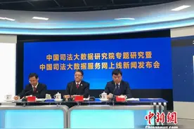 中国司法大数据服务网上线 可提供智能诉讼评估图片