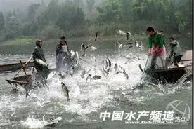 养鱼过程中这些进水细节你掌握了几点？图片