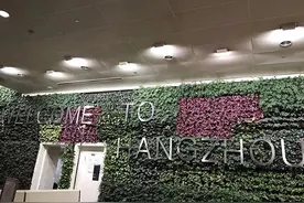 平安回家！被困巴厘岛的252名杭州游客昨抵达萧山机场！其他人今天也将陆续返回图片