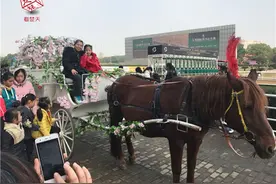 这些孩子第一次骑马、坐马车！感谢武汉三镇的爱心人士！图片