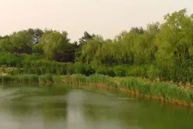 佳能LEGRIA HF R86：这款亲子DV到底好在哪？图片
