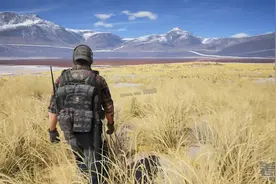 荒野行动角色卡住不动怎么办 角色卡住原因及解决方法图片