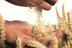 蒸馒头时到底上层先熟，还是下层先熟？80%的人都错了！