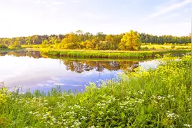 孩子：我有一句MMP不知当讲不当讲