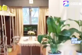 花费900元，男生宿舍2个月变身温暖小家！视频封面