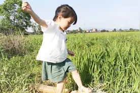 4岁小女孩跟大人去农田灌溉禾苗，玩水玩得开心极了！视频封面