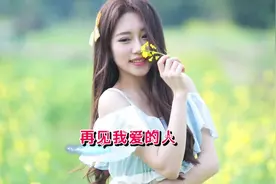 望海高歌伤感歌曲《再见我爱的人》都听哭了