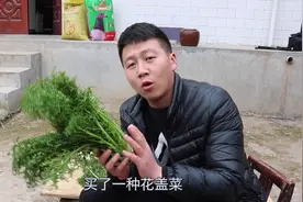 西北农村用一种草本植物秘制的酸菜？城市人买不到，看怎么做的？视频封面