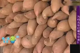 吃红薯选红薯别看大小，专家教你这么挑！视频封面