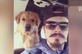 啊哈哈传说中的狗子随主人，一点没错了