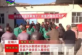 柳林高家沟乡阴塔村贫困户喜获产业扶贫入股分红视频封面