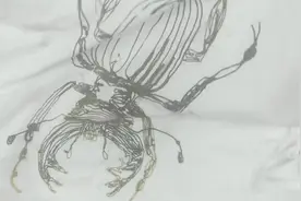 衣服不小心弄湿了，怎么快速弄干！