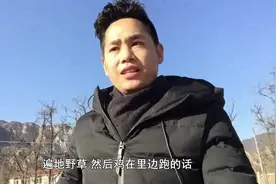 为什么养鸡的地方都是寸草不生？真相让养殖户值得反思！视频封面
