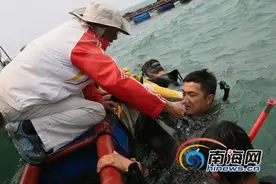 万宁发现受伤海豚 正接受治疗伤情恢复情况良好图片