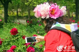 菏泽牡丹节上的花环生意：不荒废田里的风姿图片