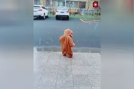 动物园里跑出来的小萌娃，实在太可爱好想抱走